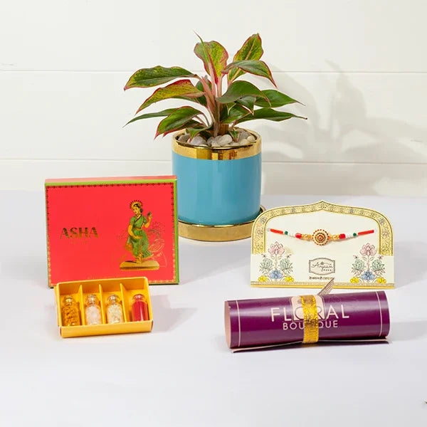 traditional rakhi gift ethnic charm rakhi asha mix sweetsaglaonema plant front view