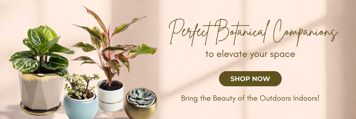 Floral Boutique promo