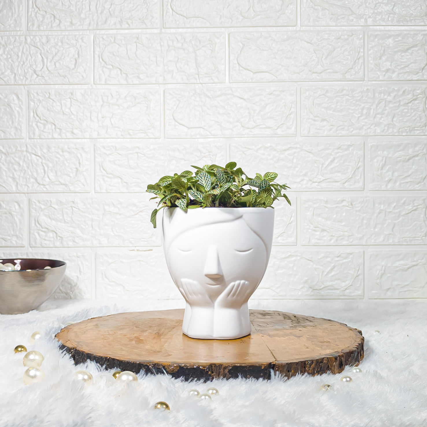 Fittonia Green Nerve Plant in Designer White Face-Shaped Metal Pot – Stylish Indoor Décor & Low Maintenance Gift